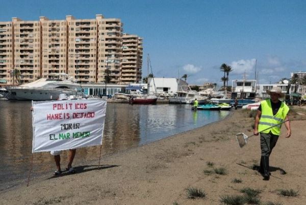 На берег испанской лагуны Мар-Менор вынесло 5 тонн погибшей рыбы 