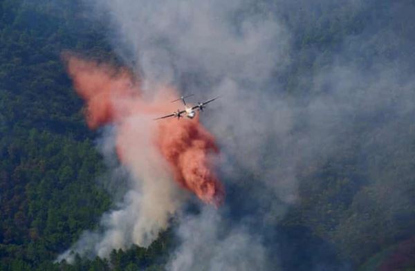 В результате лесного пожара возле курорта Сен-Тропе во Франции погибли 2 человека